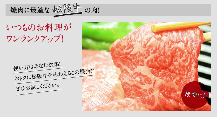  松阪牛網焼き用モモ肉　500g入 松阪牛ギフト