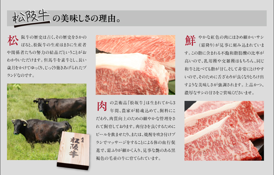  松阪牛ステーキ(ヘレ、サーロイン)各100g×3枚 松阪牛ギフト